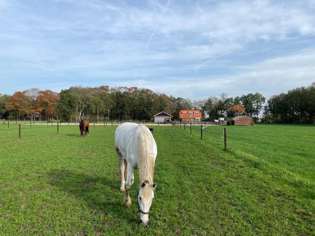 Bed & Breakfast Hoeve Happiness - Ontbijt Inbegrepen - Wellness Aanwezig ฟัวร์เธาเซอ ภายนอก รูปภาพ