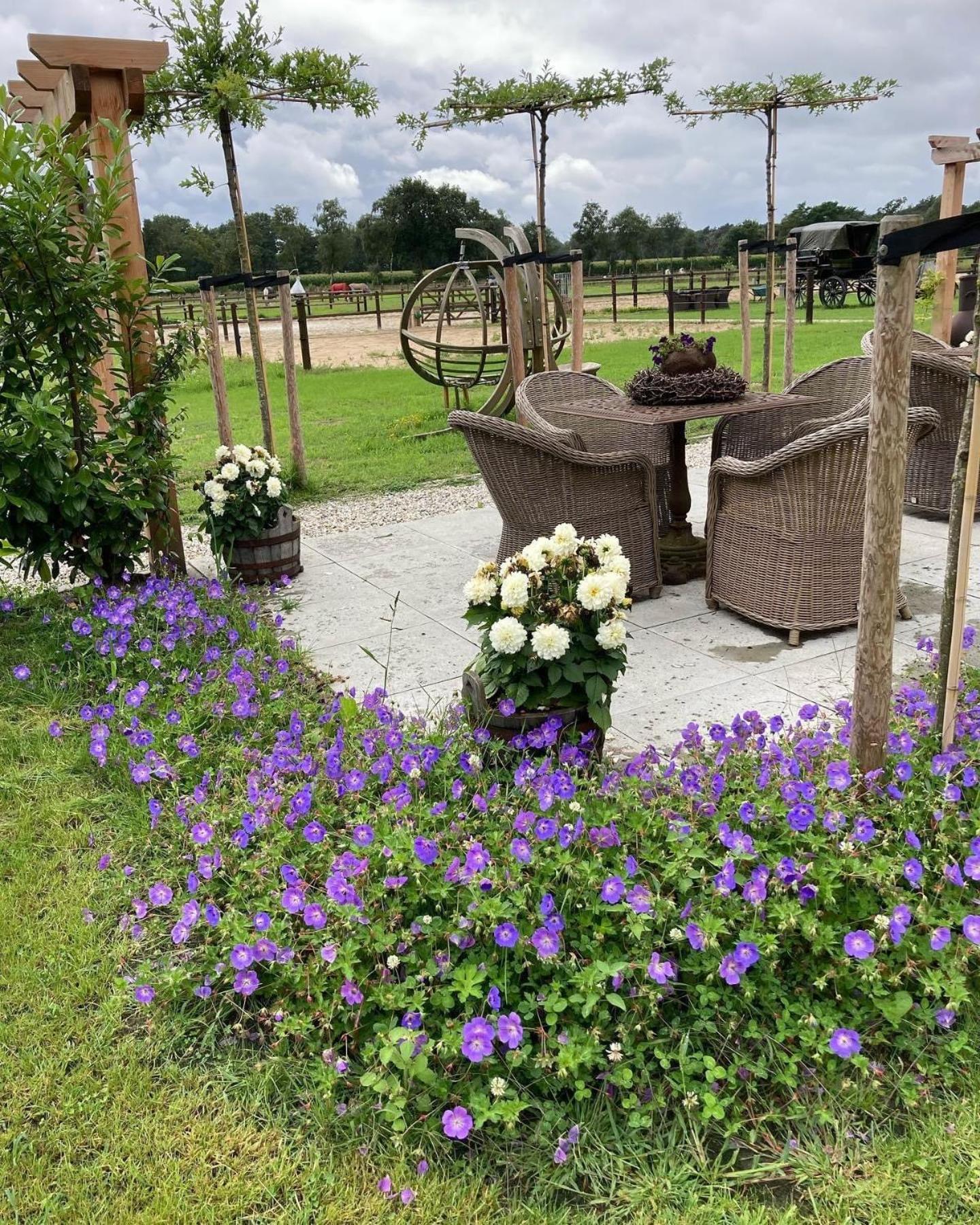Bed & Breakfast Hoeve Happiness - Ontbijt Inbegrepen - Wellness Aanwezig ฟัวร์เธาเซอ ภายนอก รูปภาพ