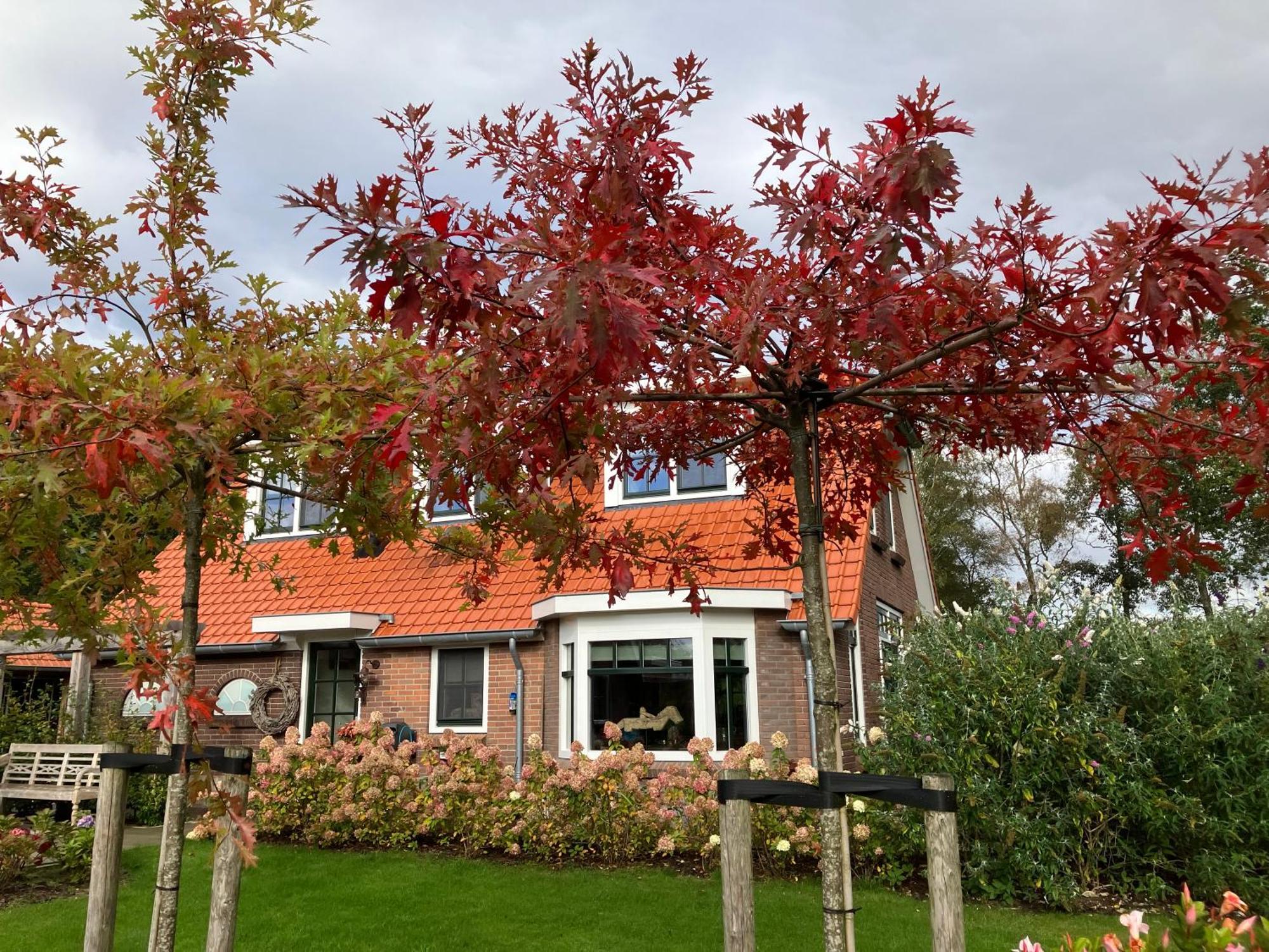 Bed & Breakfast Hoeve Happiness - Ontbijt Inbegrepen - Wellness Aanwezig ฟัวร์เธาเซอ ภายนอก รูปภาพ